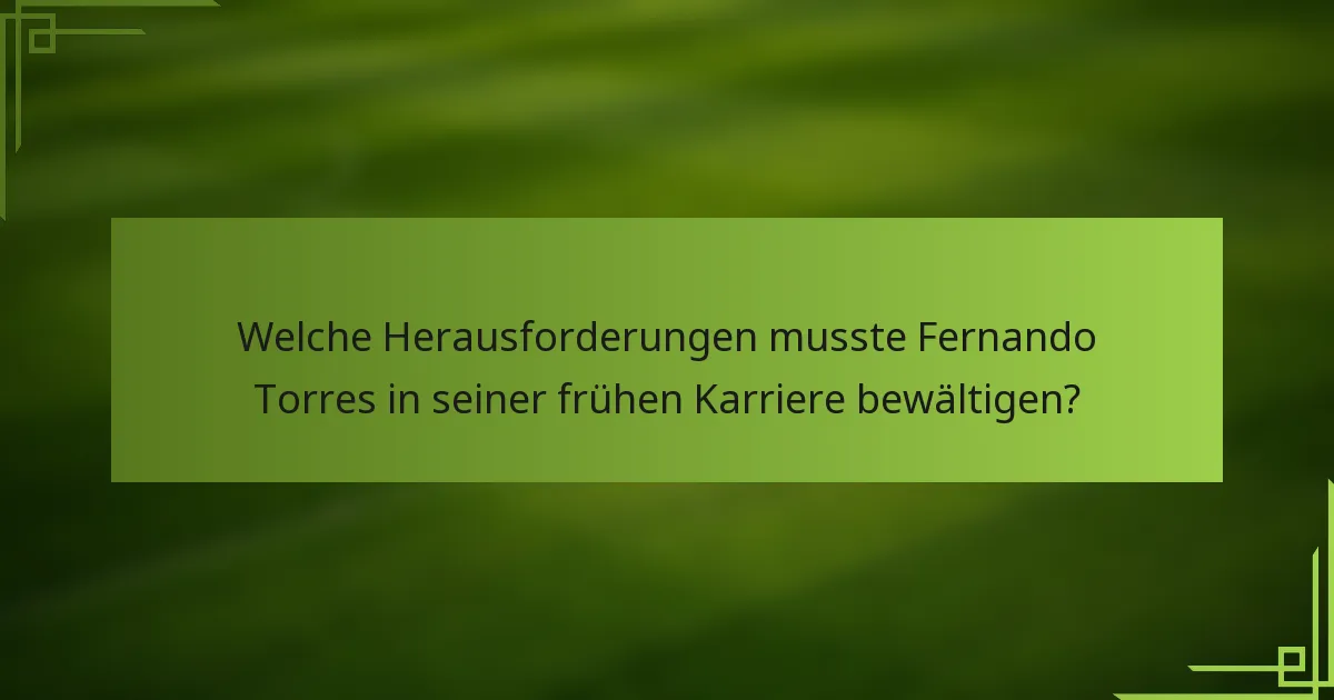 Welche Herausforderungen musste Fernando Torres in seiner frühen Karriere bewältigen?