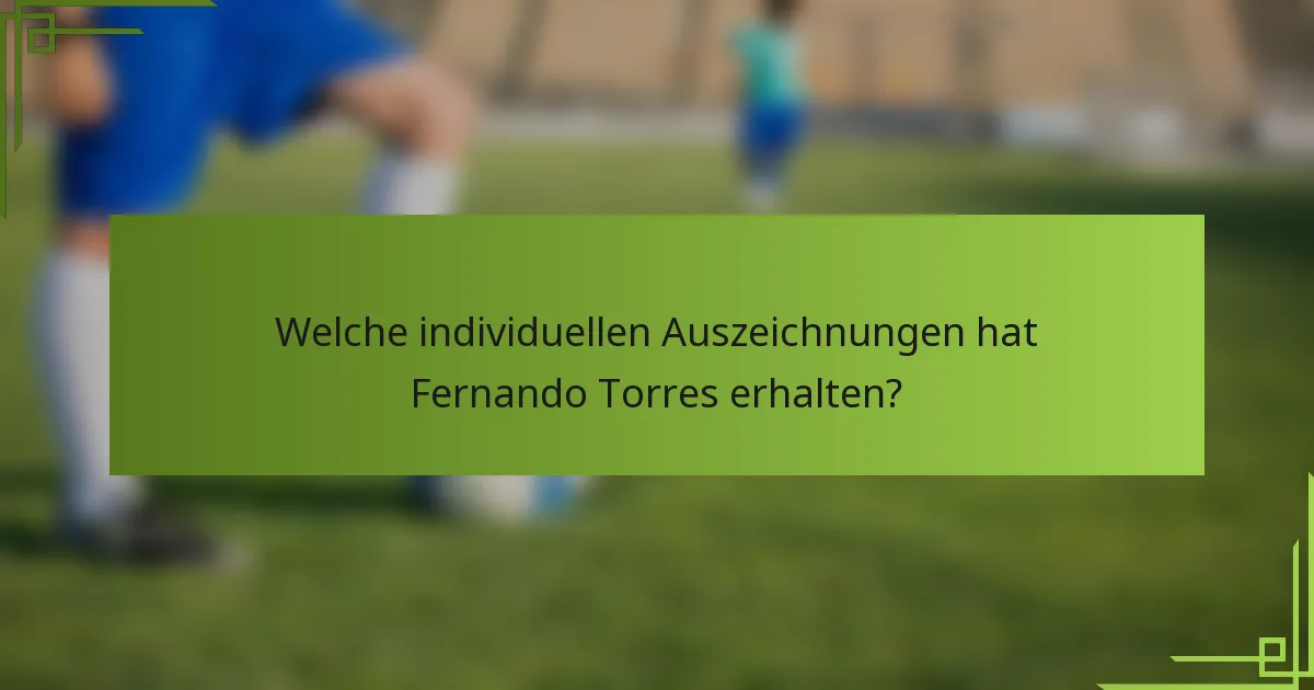 Welche individuellen Auszeichnungen hat Fernando Torres erhalten?