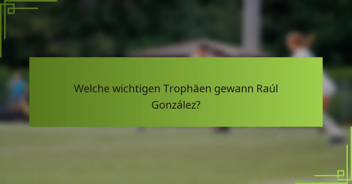 Welche wichtigen Trophäen gewann Raúl González?