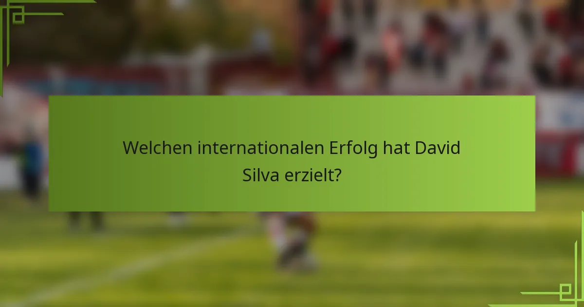 Welchen internationalen Erfolg hat David Silva erzielt?
