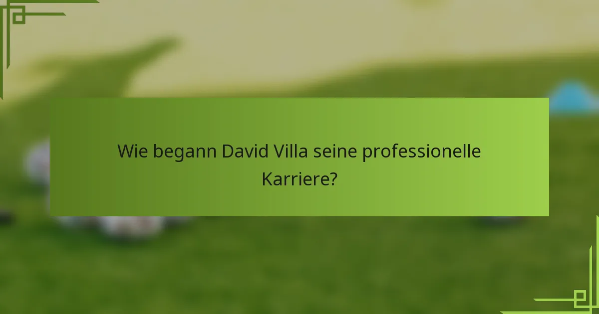 Wie begann David Villa seine professionelle Karriere?