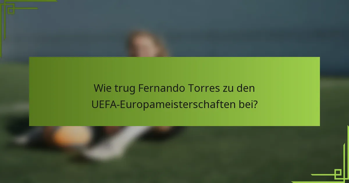 Wie trug Fernando Torres zu den UEFA-Europameisterschaften bei?