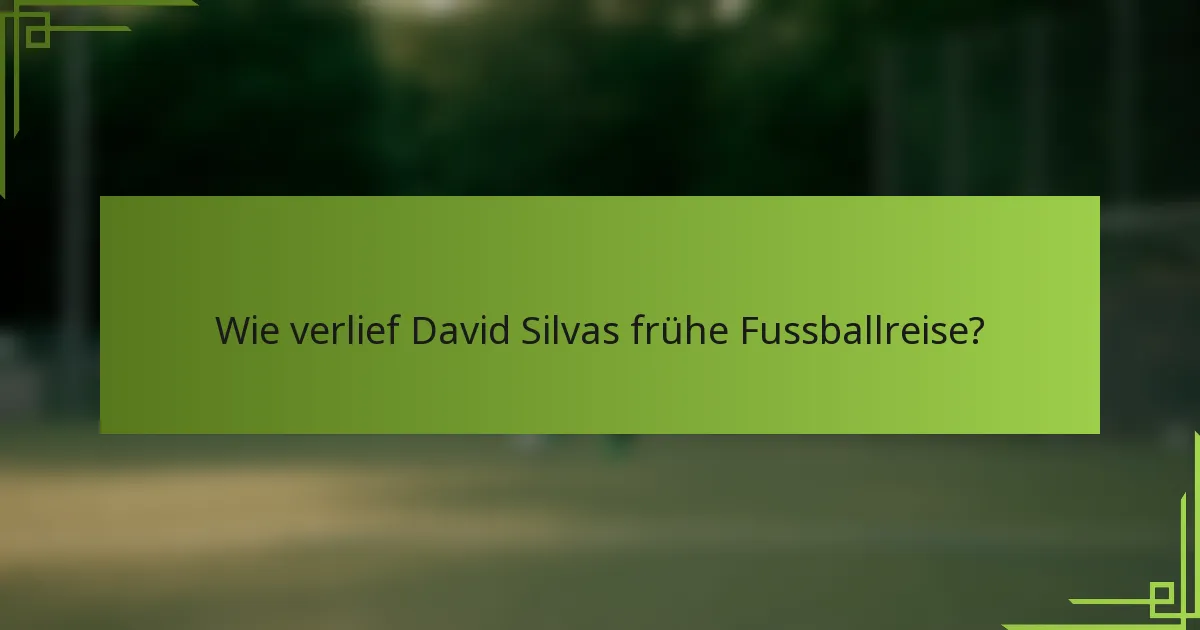 Wie verlief David Silvas frühe Fussballreise?